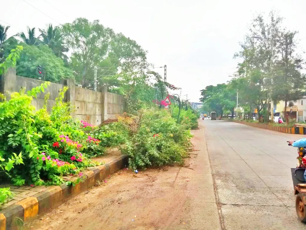 Demand for removal of bushes lying on the footpath