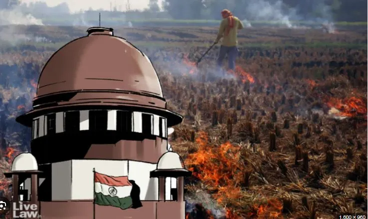 'Supreme' tashere on grass burning