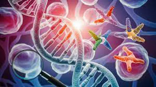 युएईत प्रीमॅरिटल जेनेटिक टेस्टिंग अनिवार्य Premarital genetic testing is mandatory in the UAE