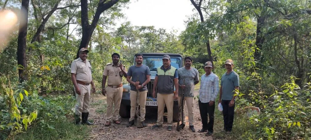 Elephants live in Jalga forest area