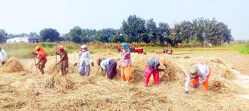 Baliraja is desperate due to uncertain rate cuts