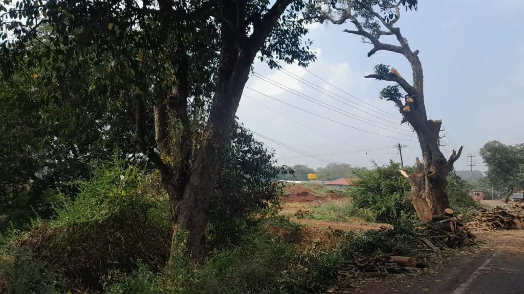 Tender for Belgaum-Vengurla road in two days