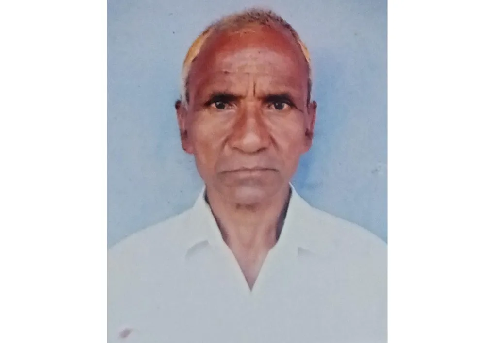 Hosur farmer dies in bee attack