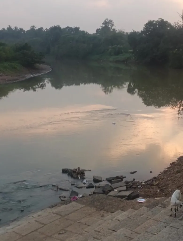 Illegal sand mining has made the water of rivers and canals muddy.