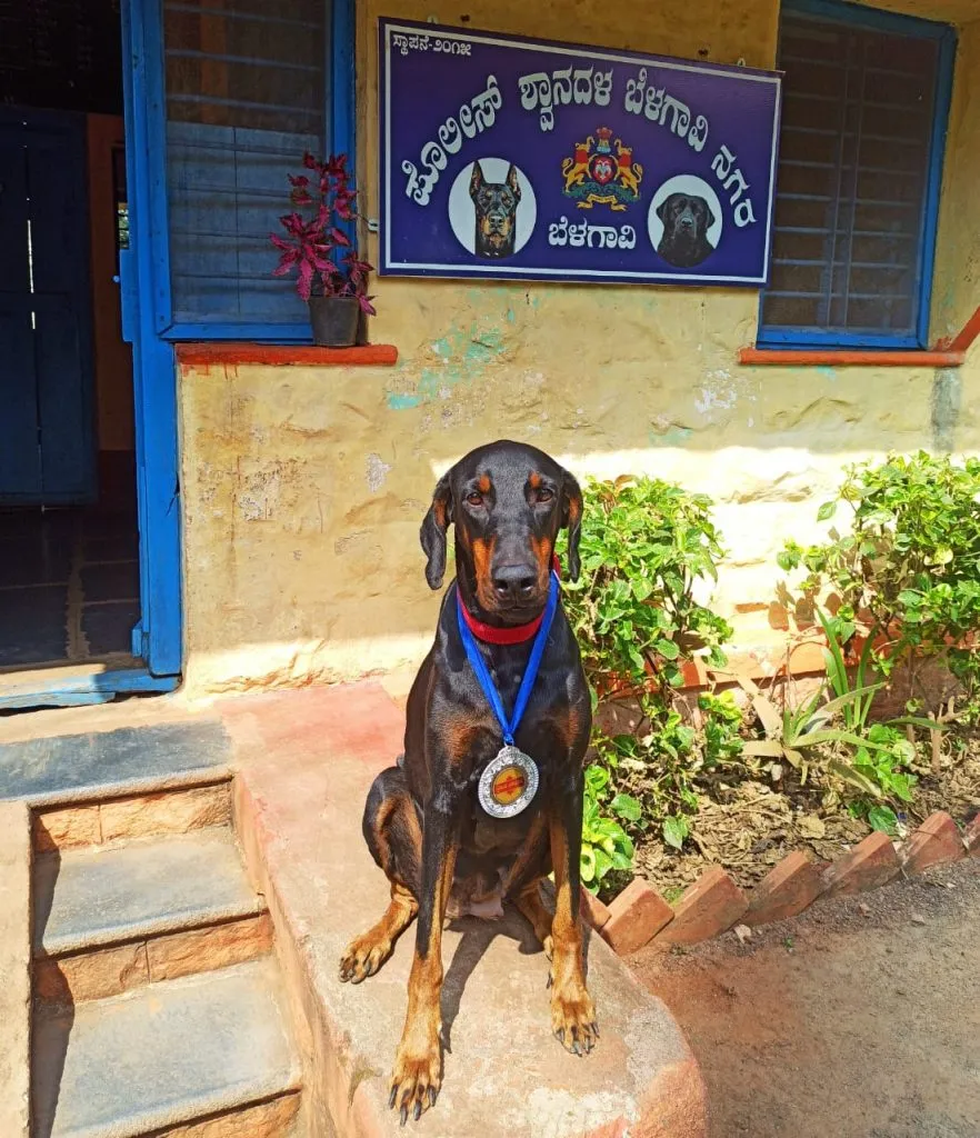 बेळगावच्या पोलीस श्वानांचा राज्यात डंका