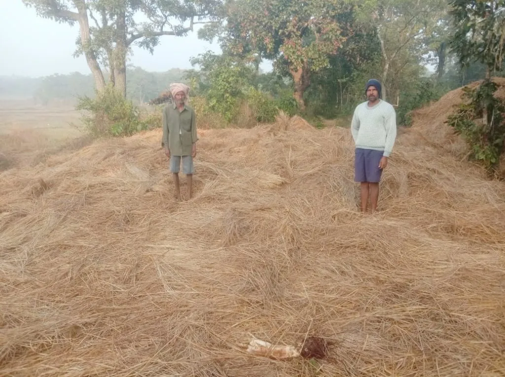 Elephant stampede in Gunji area