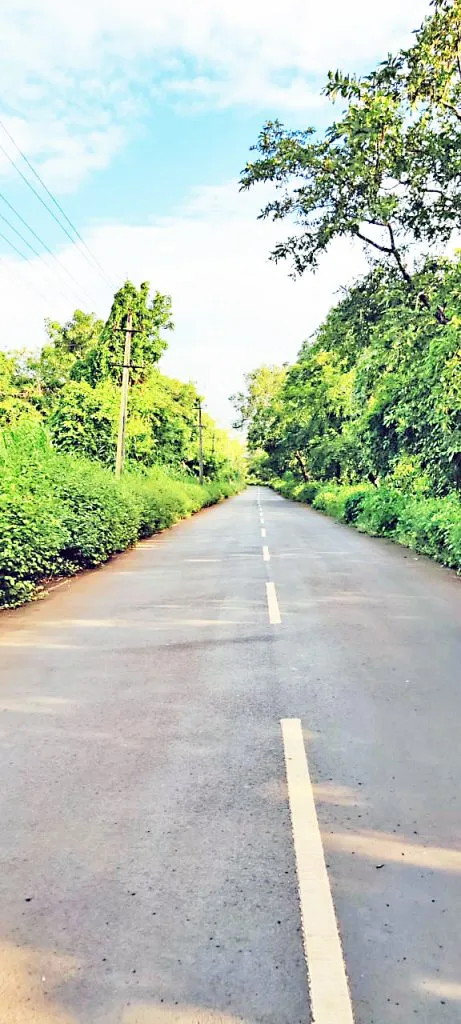 रस्त्याच्या दुतर्फा झुडपे-गवताचे अतिक्रमण Encroachment of bushes and grass on both sides of the road