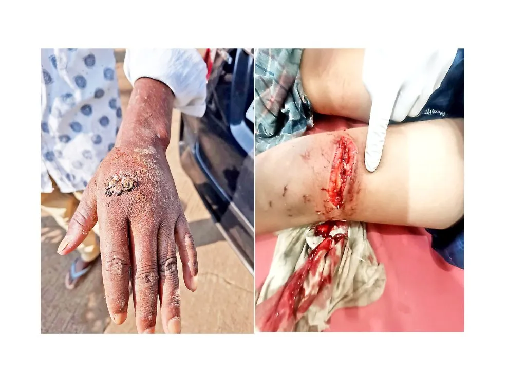 A herd of monkeys created terror in Nilji village