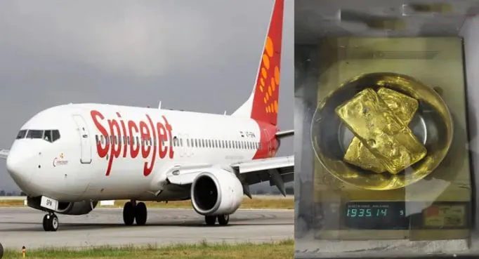 अमृतसर विमानतळावर 1.50 कोटींचे सोने जप्त Gold worth Rs 1.50 crore seized at Amritsar airport