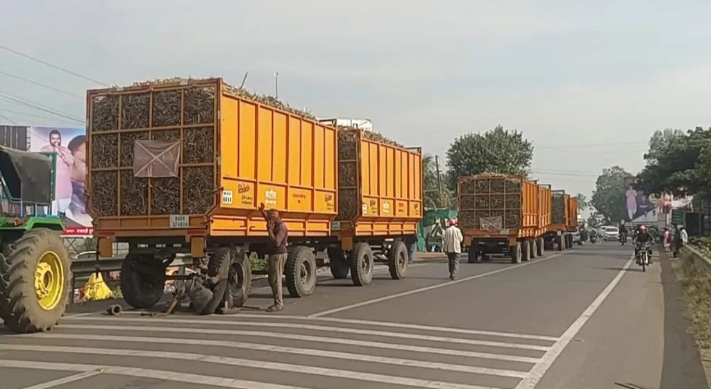 Tractors and trolleys transporting sugarcane have been evacuated
