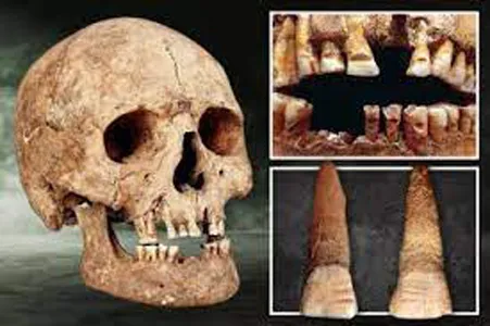 जमिनीत मिळाला 17 हजार वर्षे जुना खजिना 17 thousand years old treasure was found in the ground