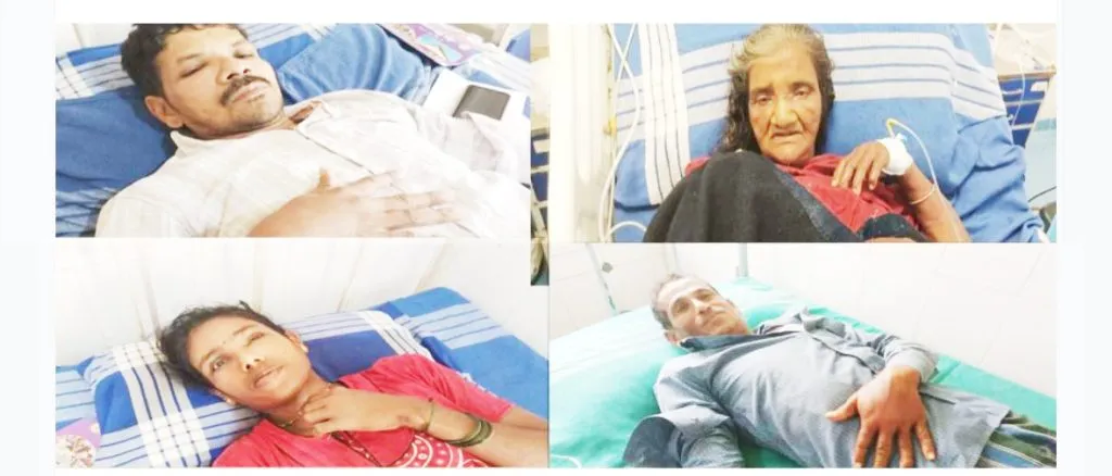 Four injured in bee attack