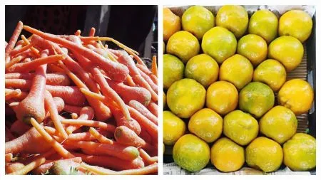 Arrival of winter fruits and vegetables in the market