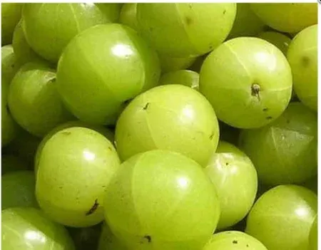 Hair is falling out; then eat amla!