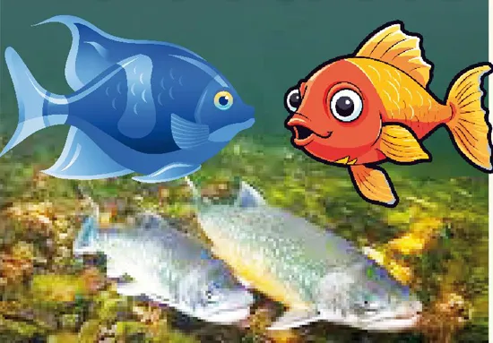 Strange variety of fish here