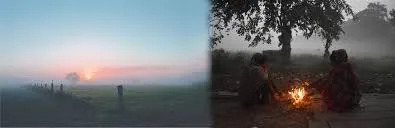 आला हिवाळा.. आरोग्य सांभाळा.. Winter has come.. Take care of your health..