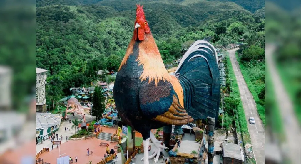 कोंबड्याच्या आकाराचे हॉटेल A hotel shaped like a chicken