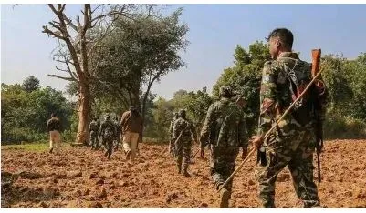 महाराष्ट्र-छत्तीसगड सीमेवर पाच नक्षलवाद्यांना कंठस्नान Five Naxalites killed on Maharashtra-Chhattisgarh border