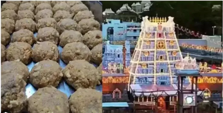 SIT investigation begins in Tirupati laddu adulteration case