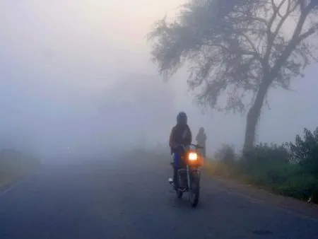 Cold wave in Maharashtra