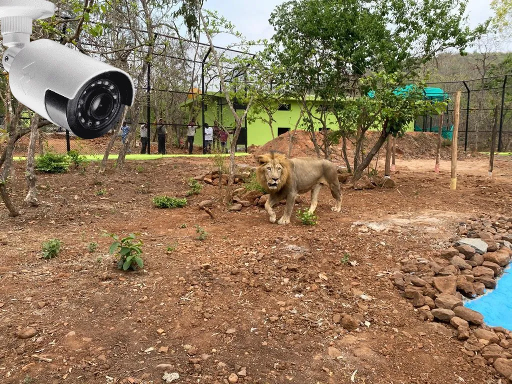 CCTV cameras will be installed in Bhutramhatti