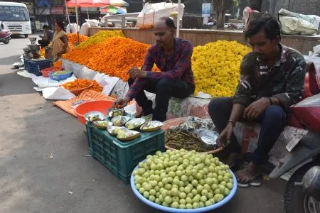 तुळशी विवाहाचे साहित्य बाजारात Tulsi wedding materials in the market