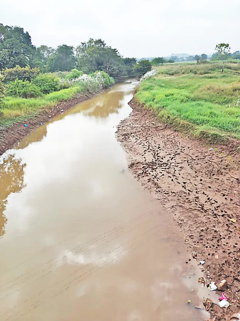 Markandeya's vessel is drying up due to the removal of the planks in the dam.