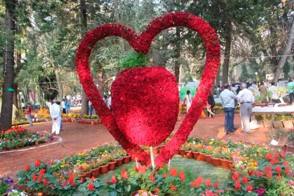 Fruit and flower exhibition starts from 13th