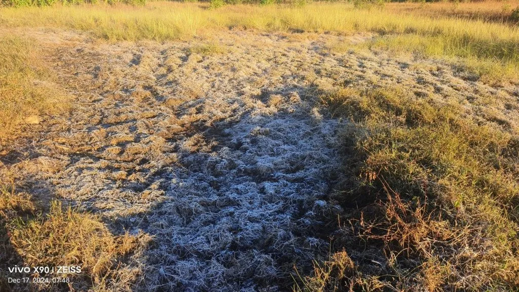 महाबळेश्वर गारठले; वेण्णा तलाव परिसरात हिमकण Mahabaleshwar Garthale; Snowfall in Venna Lake area