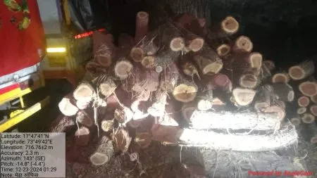 खैराची तस्करी करणारी टोळी जेरबंद Khaira smuggling gang arrested