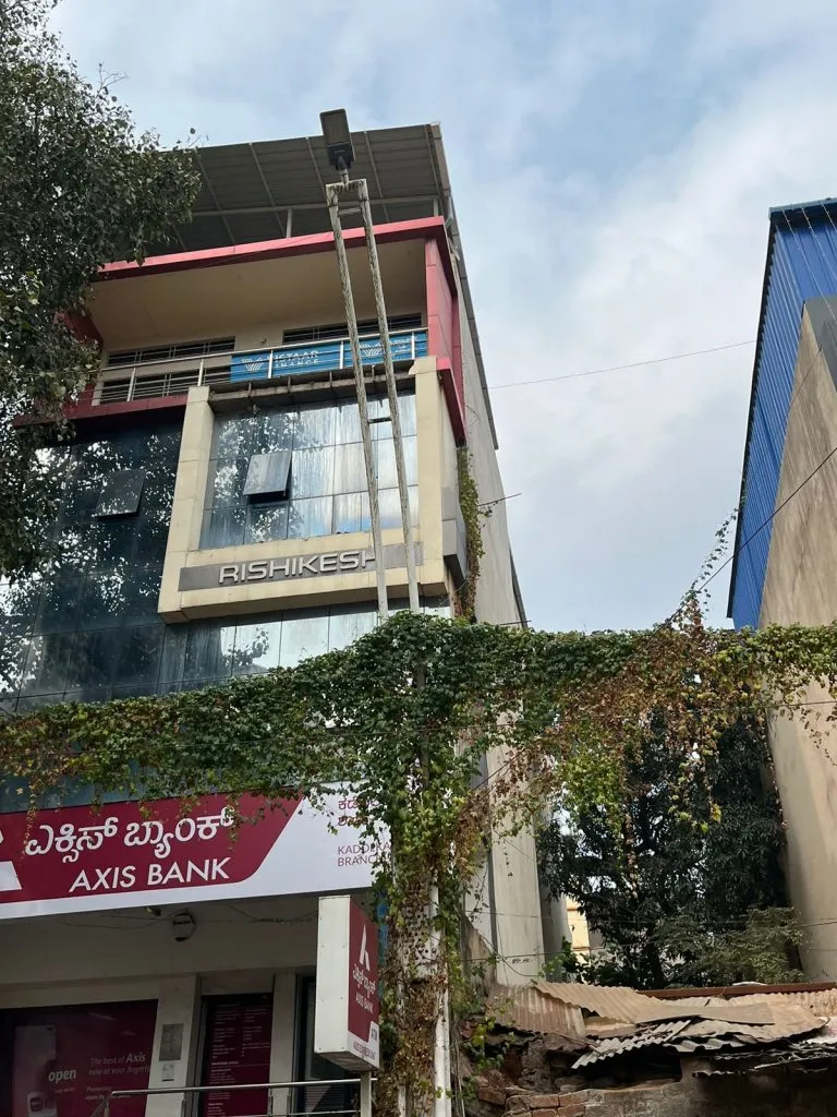Vines grow on power lines in Kadolkar Street