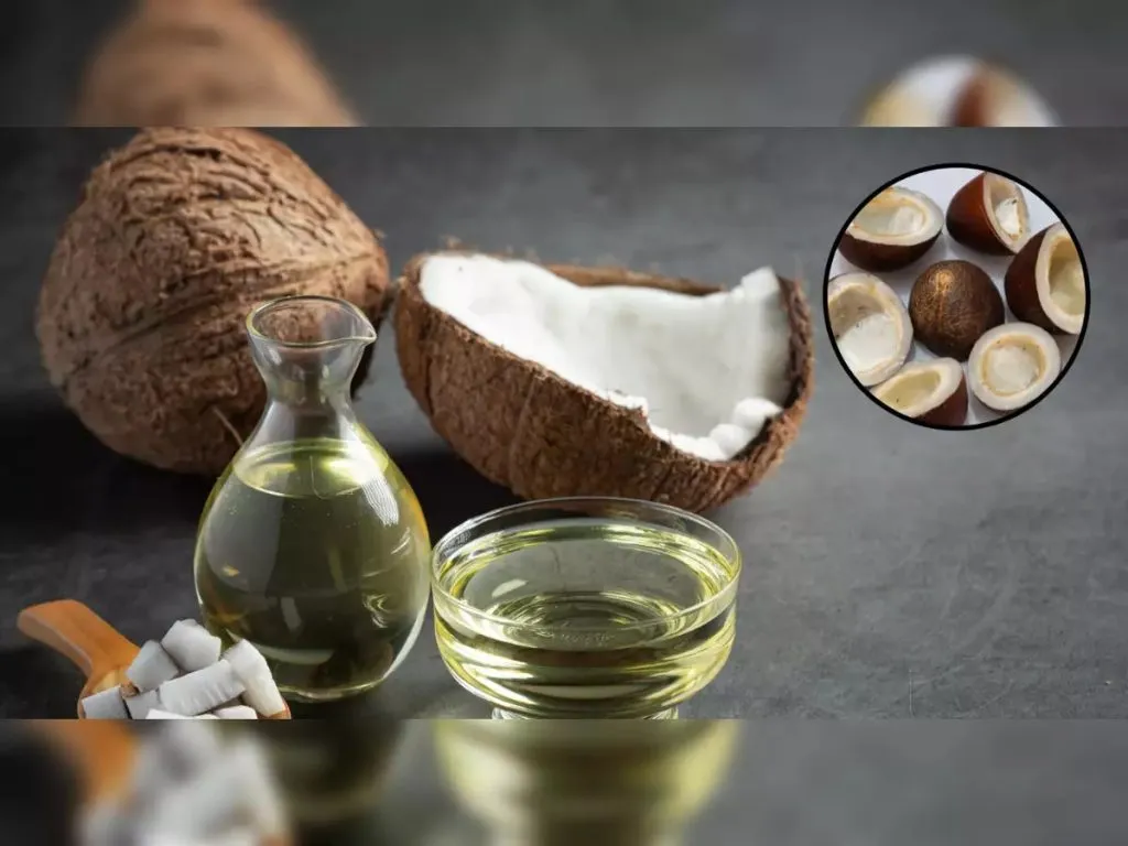 Coconut oil is edible oil: Supreme Court