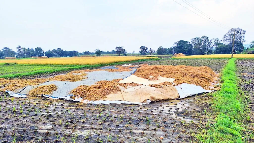 Mudslides found in Kadoli-Majgaon Shivara during rain