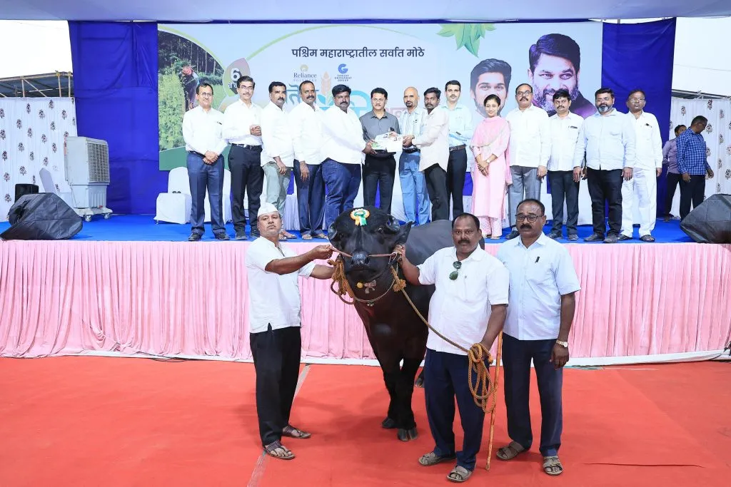 Reda Yuvraj of Gadhinglaj became the Champion of the Show