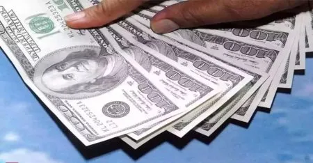 ``NRIs'' collected 12 billion dollars