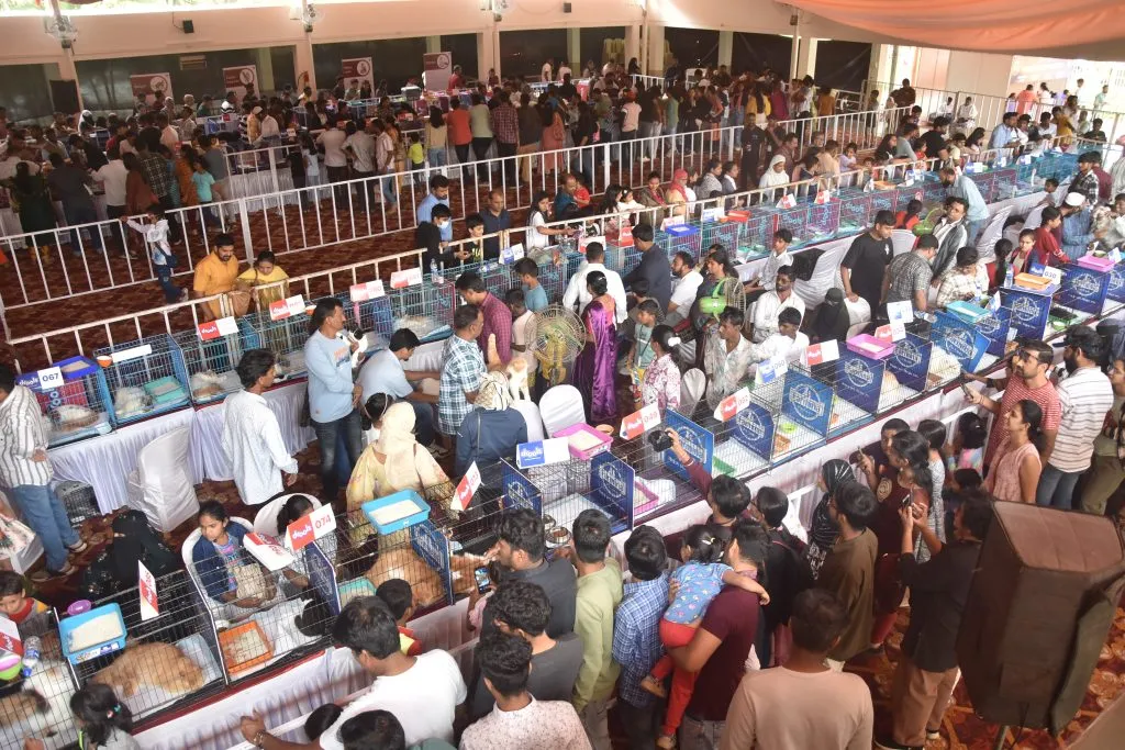 Cat show held in Kolhapur