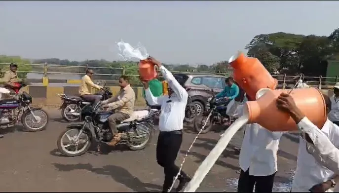 Farmers are aggressive against the reduction in cow milk price