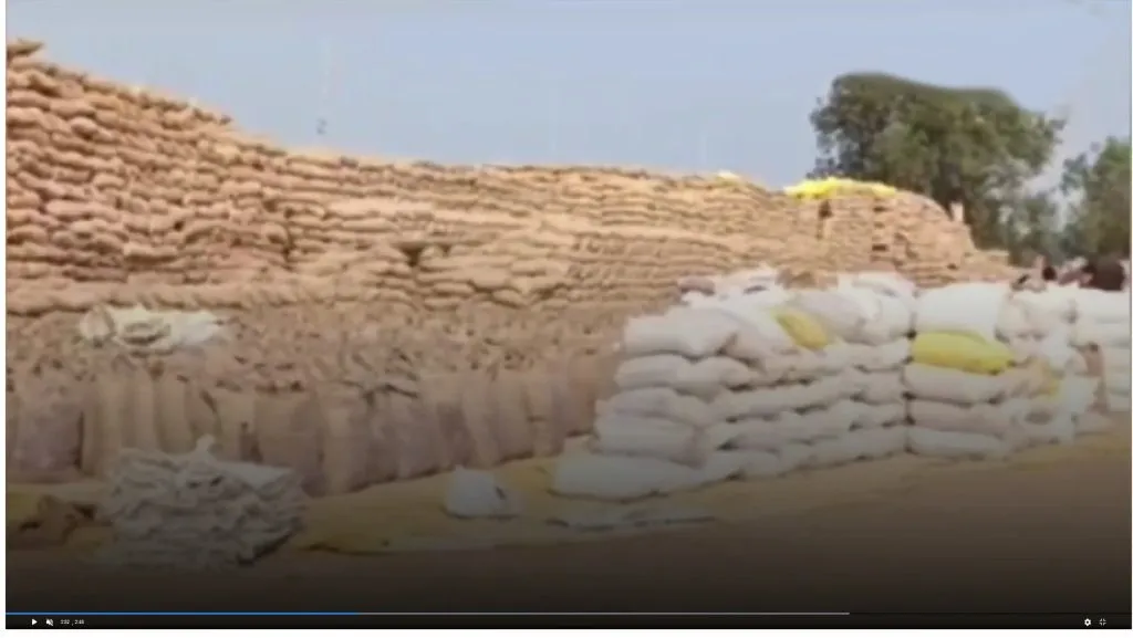 हत्तींचे लक्ष्य धान्यकोठार Elephants target granaries