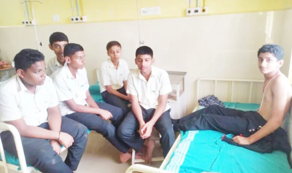 More than 23 students injured in bee attack