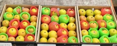 दक्षिण आफ्रिकेतून आला रत्नागिरीचा हापूस Ratnagiri's Hapus came from South Africa