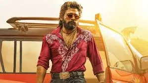 19 youth die while going to watch 'Pushpa 2'