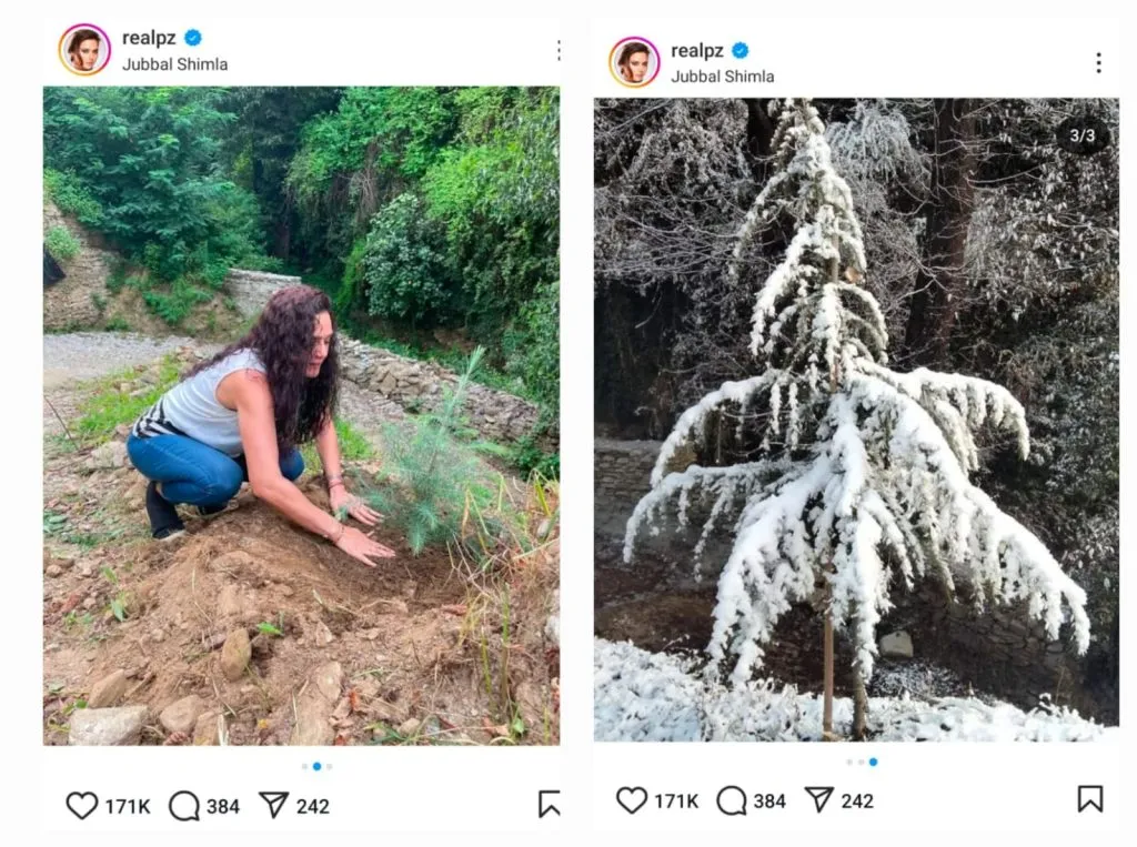 Preity Zinta says I am a proud Himachali