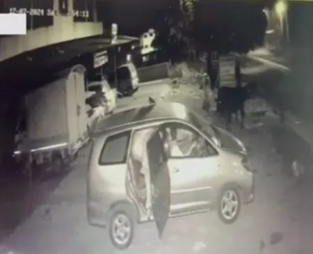 Livestock theft by injection at night in Mandangad