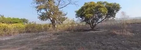 Forest fire in Burundi due to wildfire