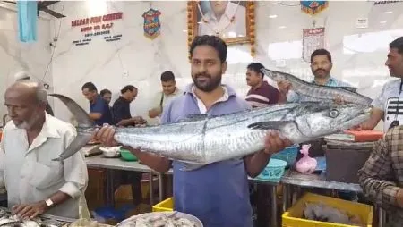 थर्टी फर्स्ट साजरी करण्यासाठी कोल्हापूरकर सज्ज Kolhapur is ready to celebrate Thirty-First