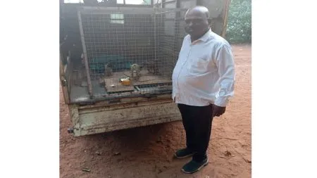 अखेर त्या बेवारस श्वानांच्या पिल्लांना आधार मिळाला