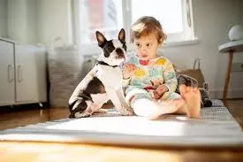 मुलांना देत आहेत श्वानांची नावं Children are being given dog names.