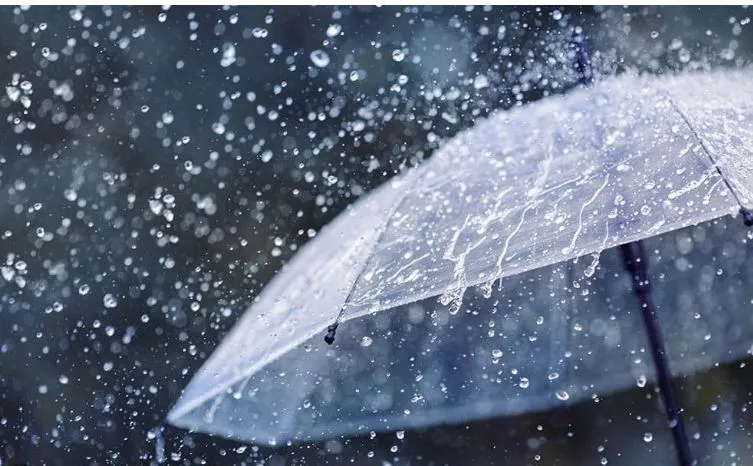 Rain showers in the next few days