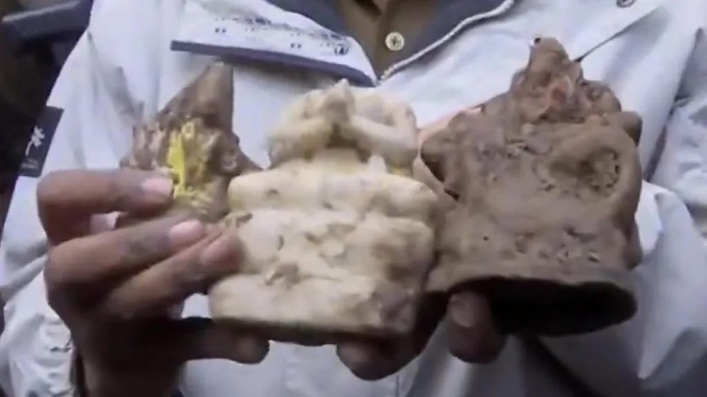 संभलमध्ये विहिरीत मिळाल्या तीन मूर्ती Three idols found in a well in Sambhal