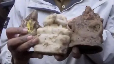 Three idols found in a well in Sambhal